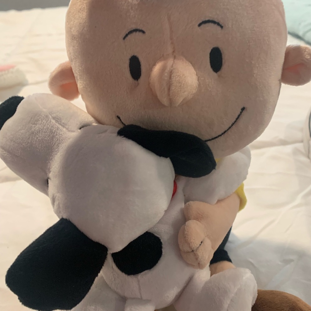 Peanuts Plush Toy Set - Charlie Brown and Snoopy